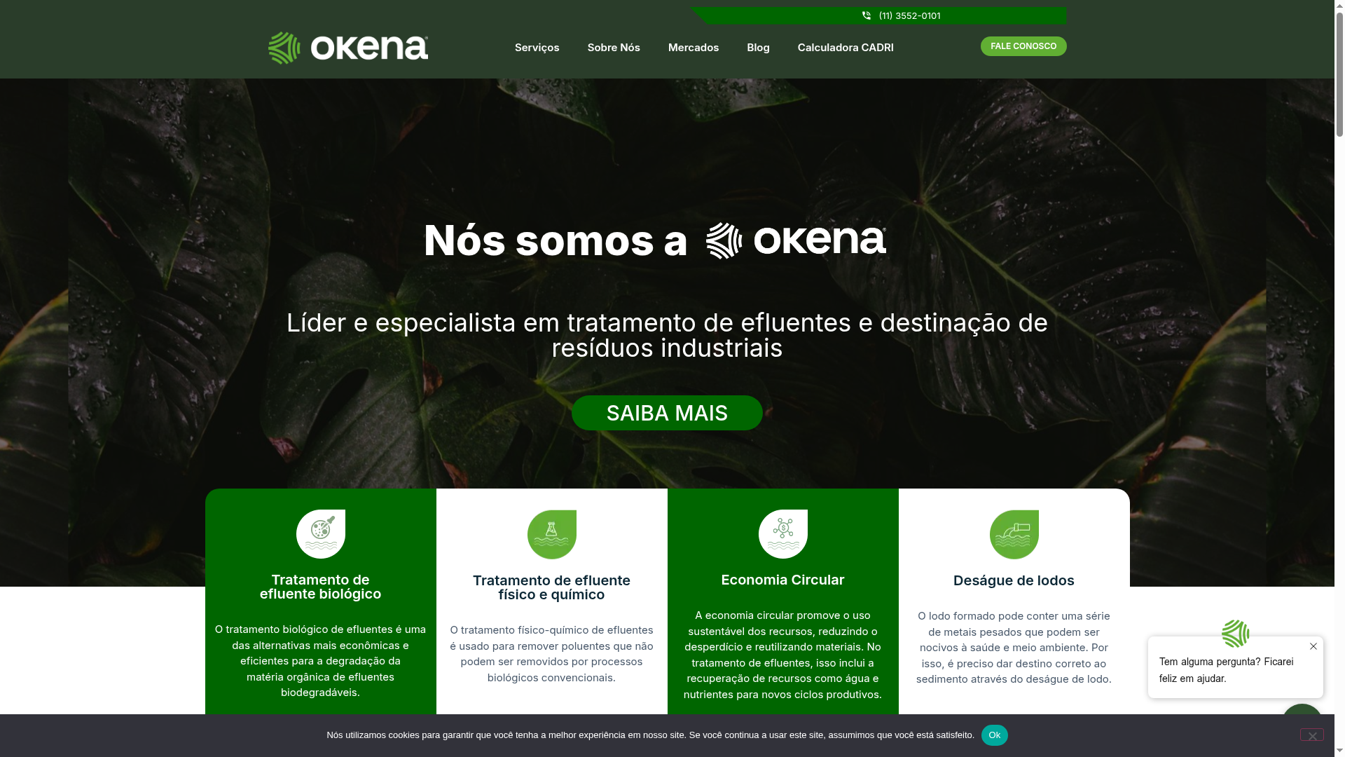 Okena — projeto entregue pela GeraWeb